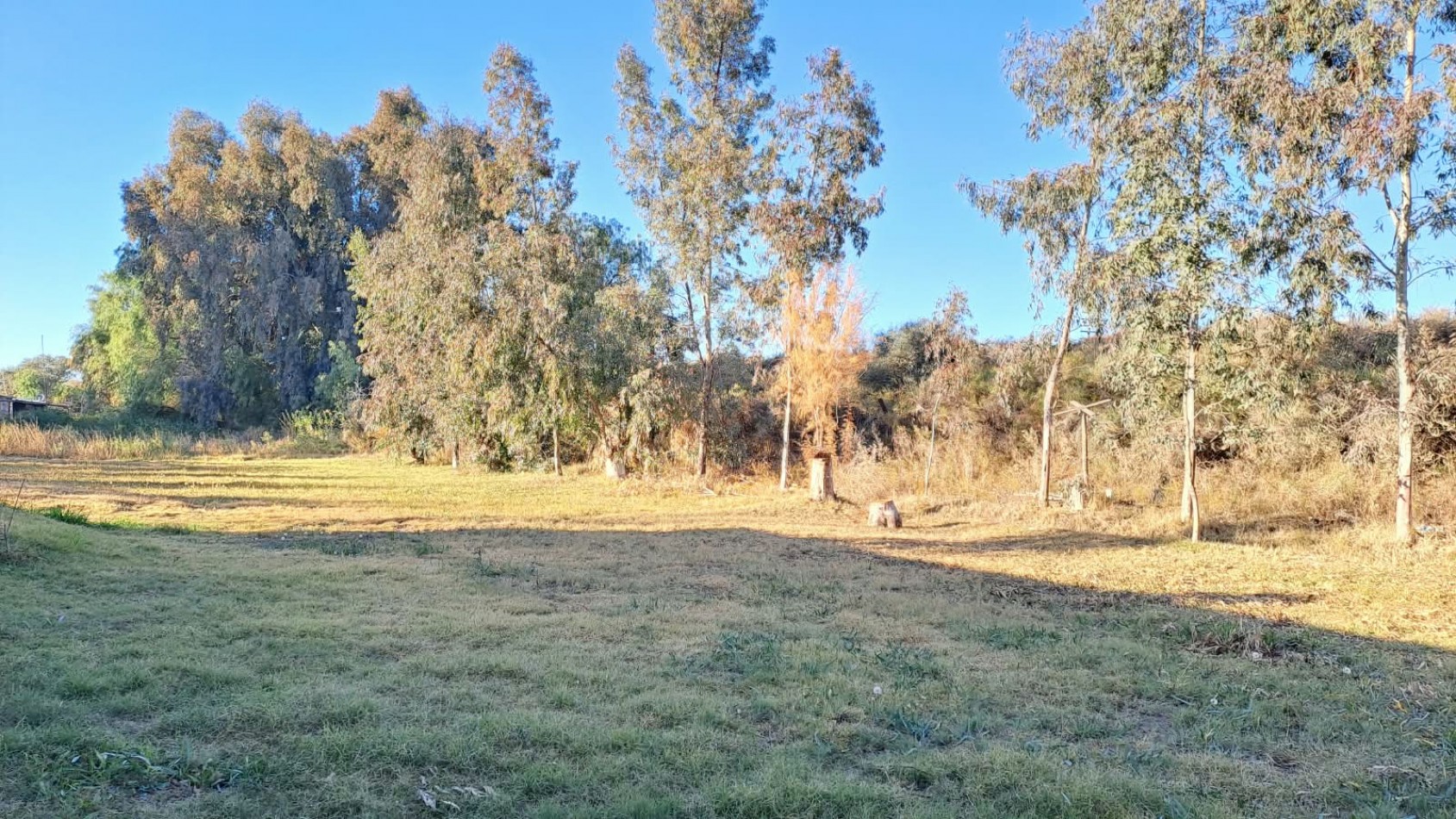 casa con 3 dormitorio y gran terreno en venta en San Roque Maipu Mendoza